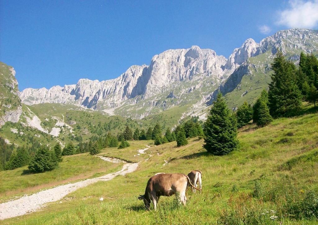 Eurohotel Mountain Wellness Castione della Presolana Exterior photo